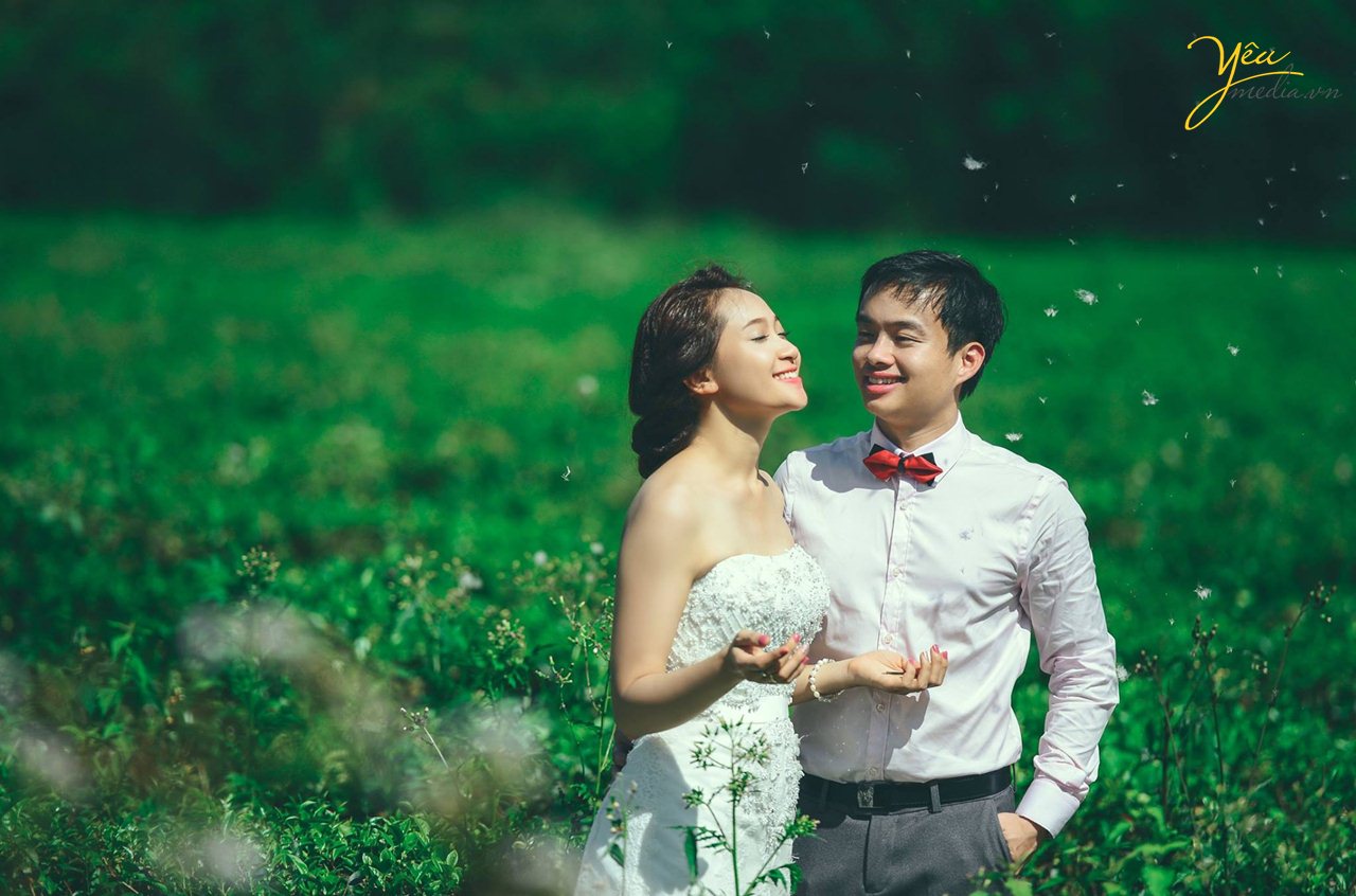 chụp ảnh cưới ở đồi xanh