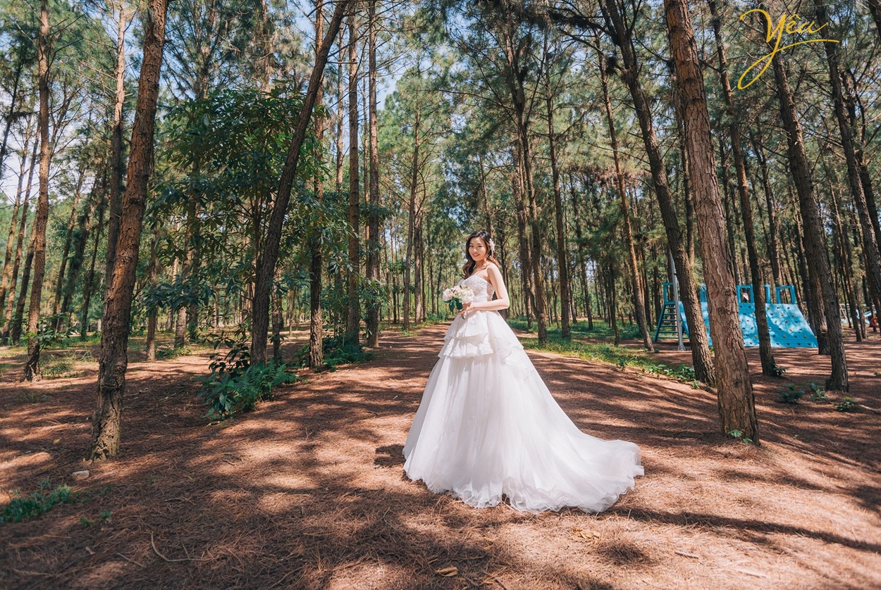 chụp ảnh cưới trong rừng thông đại lải đẹp nhất studio yêu media