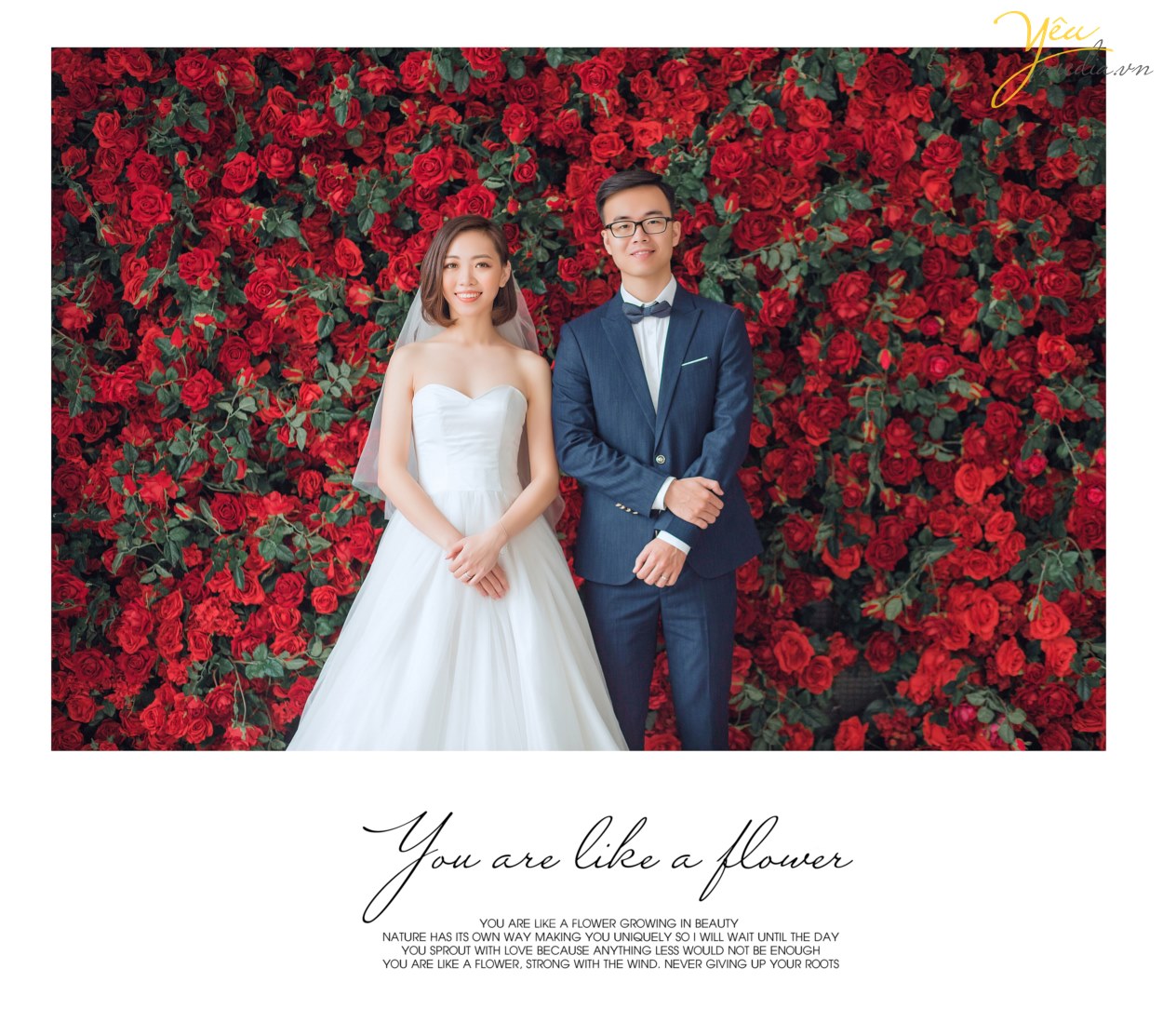 tham khảo phong cách bộ ảnh album cưới chụp đẹp nhất ở hà nội năm 2019 của studio ảnh viện