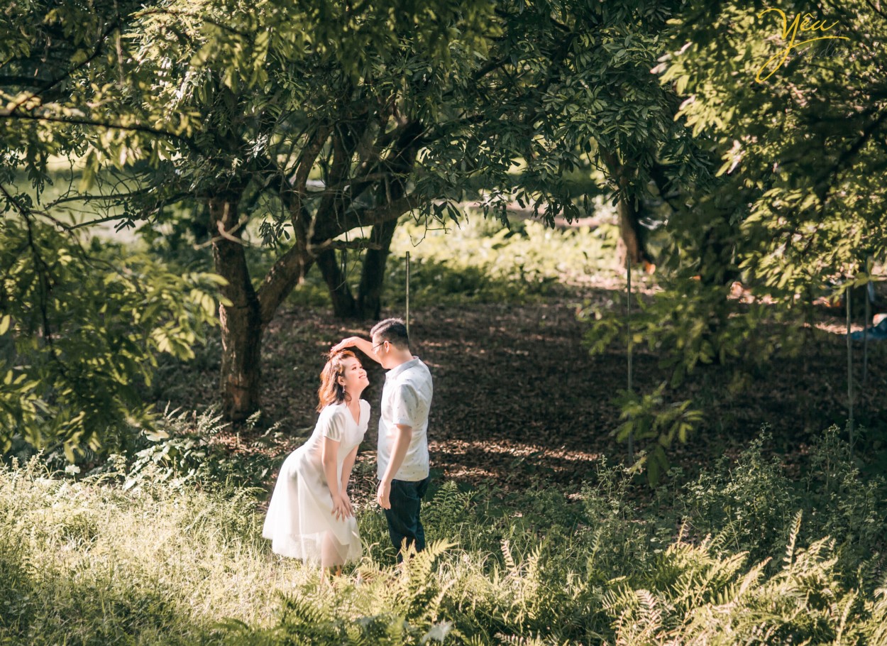 Không giống với phần đông của các địa điểm chụp ảnh, dã ngoại khác ở Hà Nội. Vườn nhãn Gia Lâm hay còn được gọi với tên rất ngộ nghĩnh “vương quốc bọ xít” là một không gian ngoài trời thoáng đãng với những khung cảnh tự nhiên, bình dị, mà vẫn đẹp hết nấc để các bạn thỏa sức tạo hình và thực hiện những bộ ảnh siêu đẹp và thỏa sức vui chơi ở đó. Sở dĩ có tên là vườn Nhãn bởi ở đây trồng những cây nhãn mọc thành từng hàng dài, với những tán lá đan xen nhau. Đặc biệt là khi nắng lên, bóng nắng ngập tràn trên những chiếc lá khiến cho nơi đây trở nên lung linh, kỳ ảo, đẹp mắt.