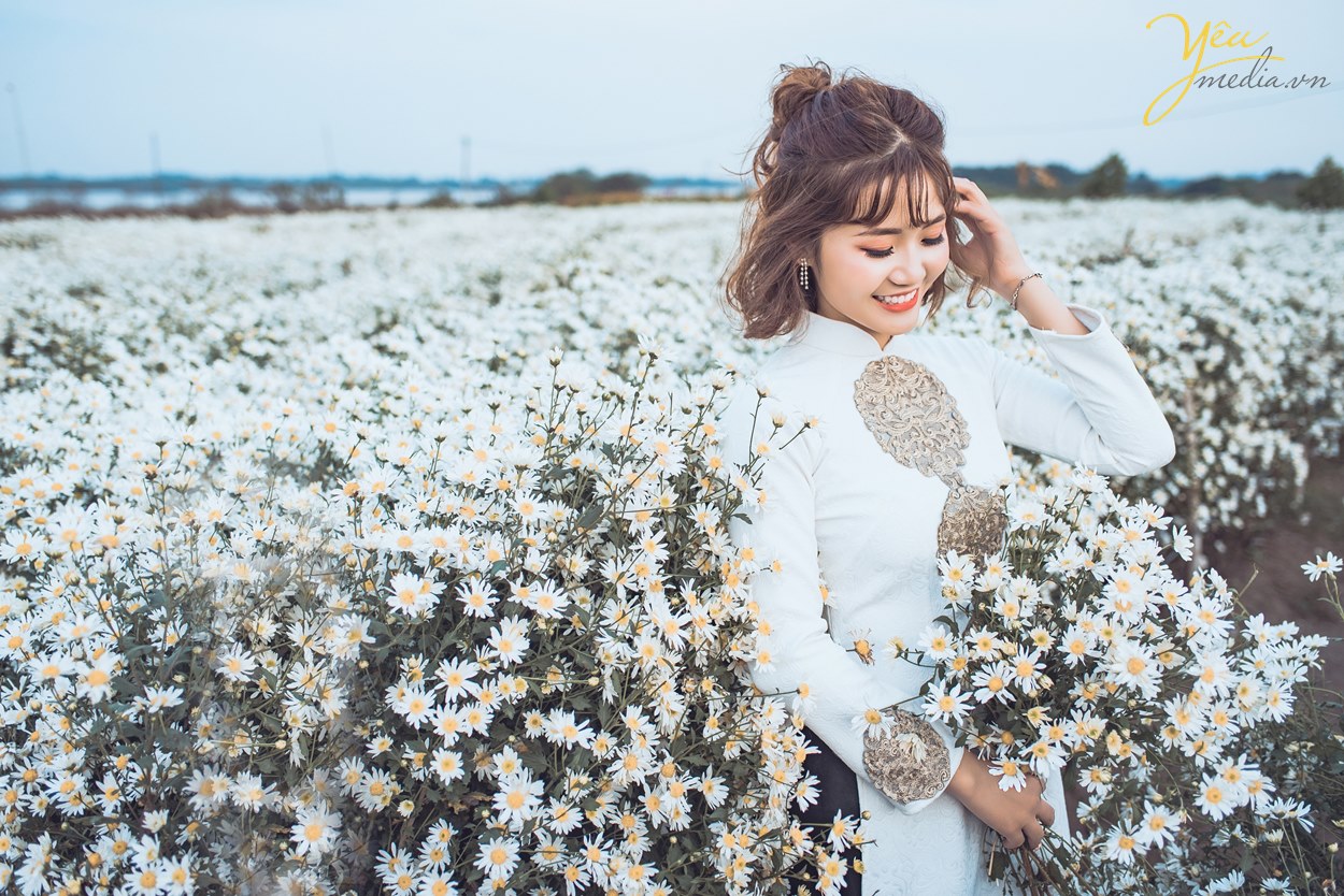 chụp ảnh cưới ở vườn cúc họa mi hà nội
