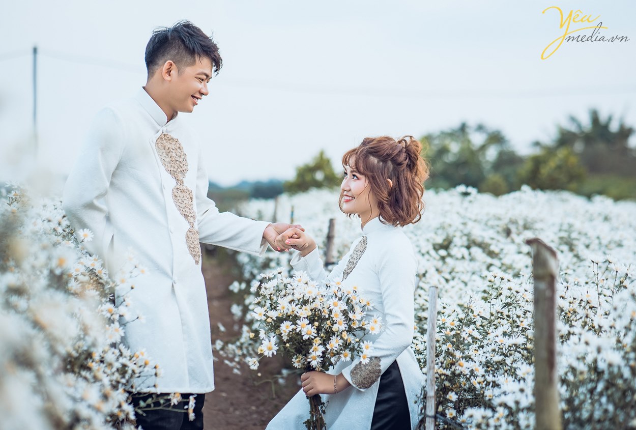 chụp ảnh cưới ở vườn hoa cúc họa mi với studio nào đẹp