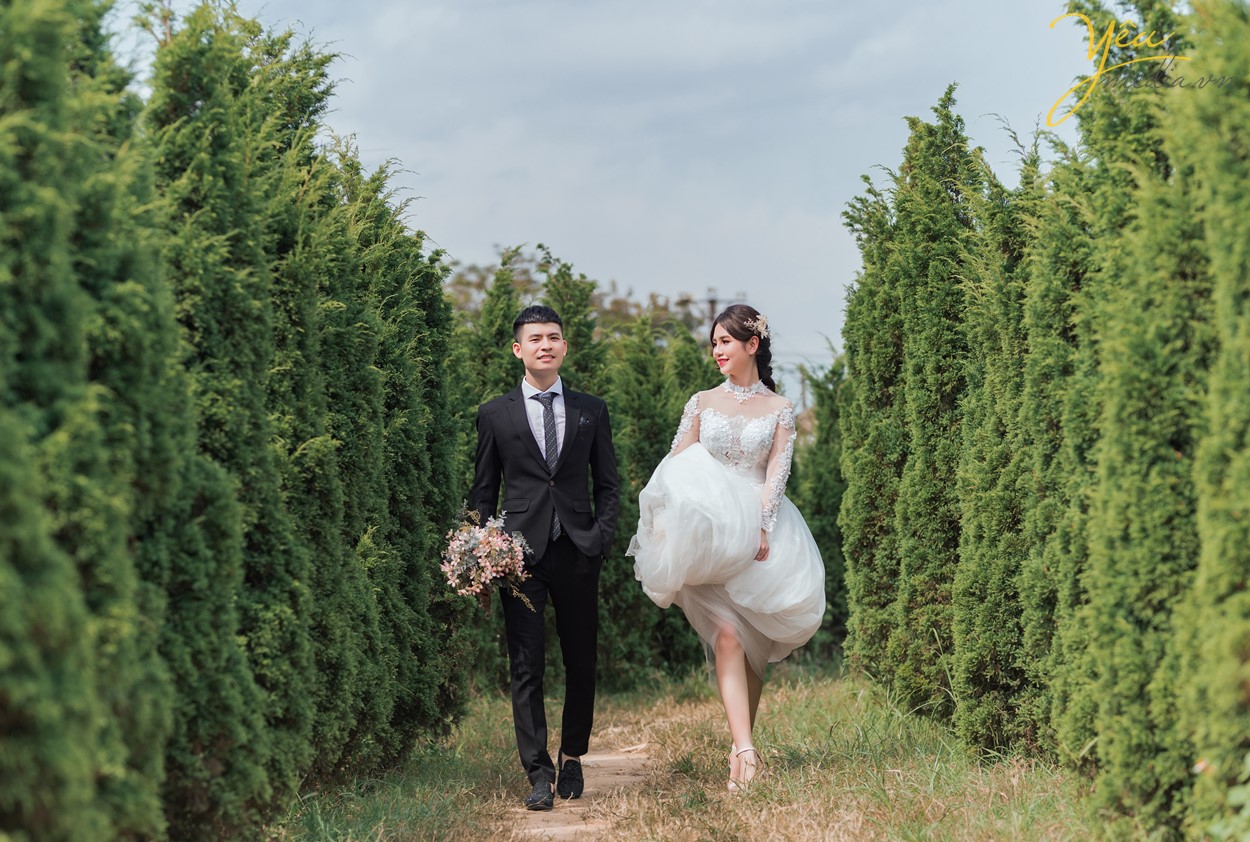chụp ảnh cưới dắt tay nhau trong vườn cây đẹp