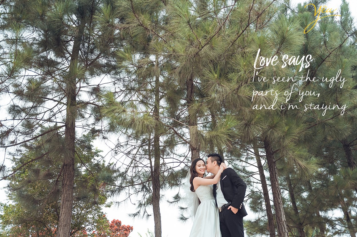 chụp ảnh cưới trong rừng cây thông đẹp nhất