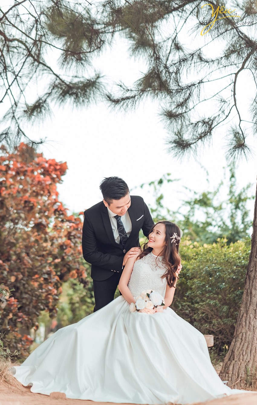 chụp ảnh cưới dưới tán rừng cây thông đẹp ở hn