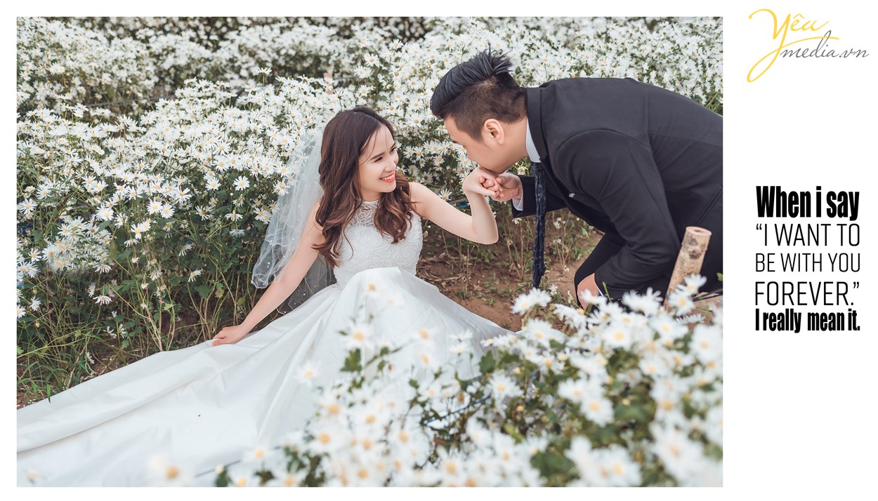 cô dâu xinh đẹp chụp hình cưới với cúc họa mi