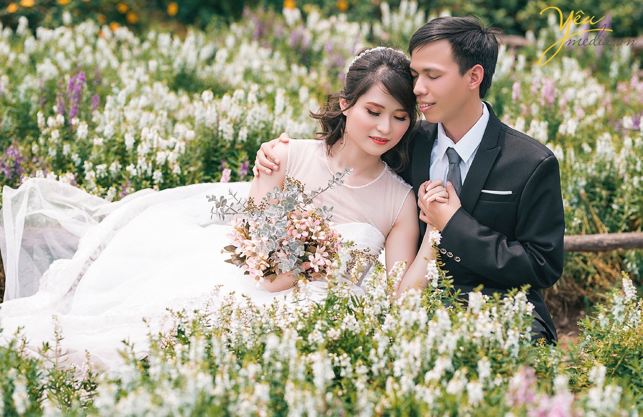 dựa vào vai anh giữa cánh đồng hoa