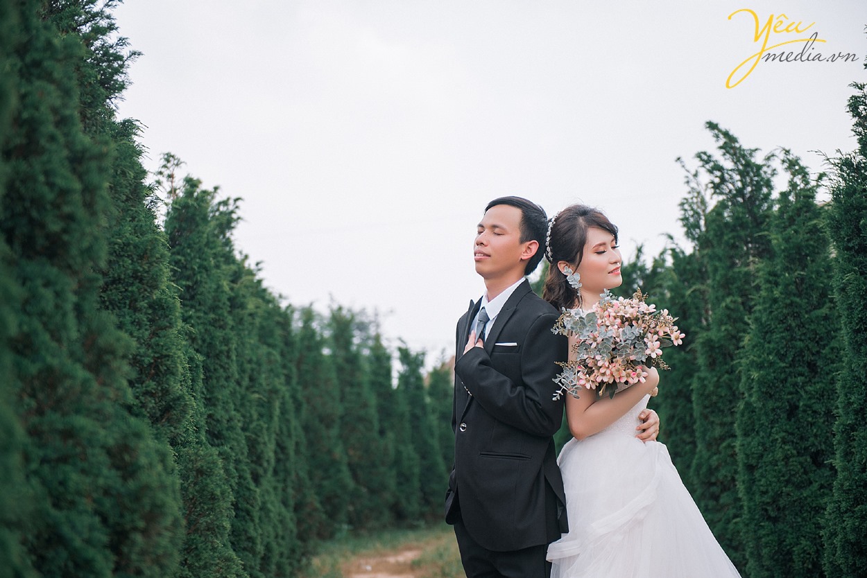 khu vườn màu xanh bất tận đẹp để chụp ảnh cưới