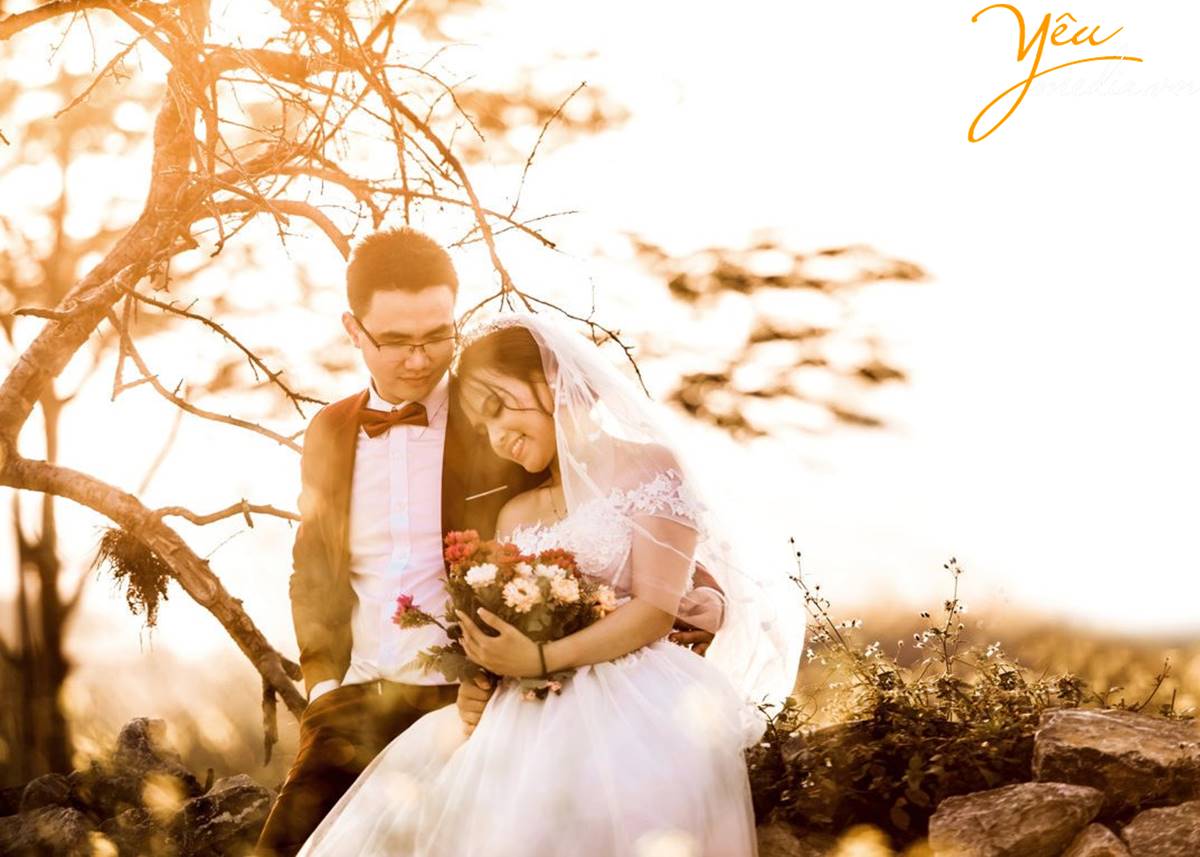 chụp ảnh cưới tại Thảo nguyên hoa Long Biên