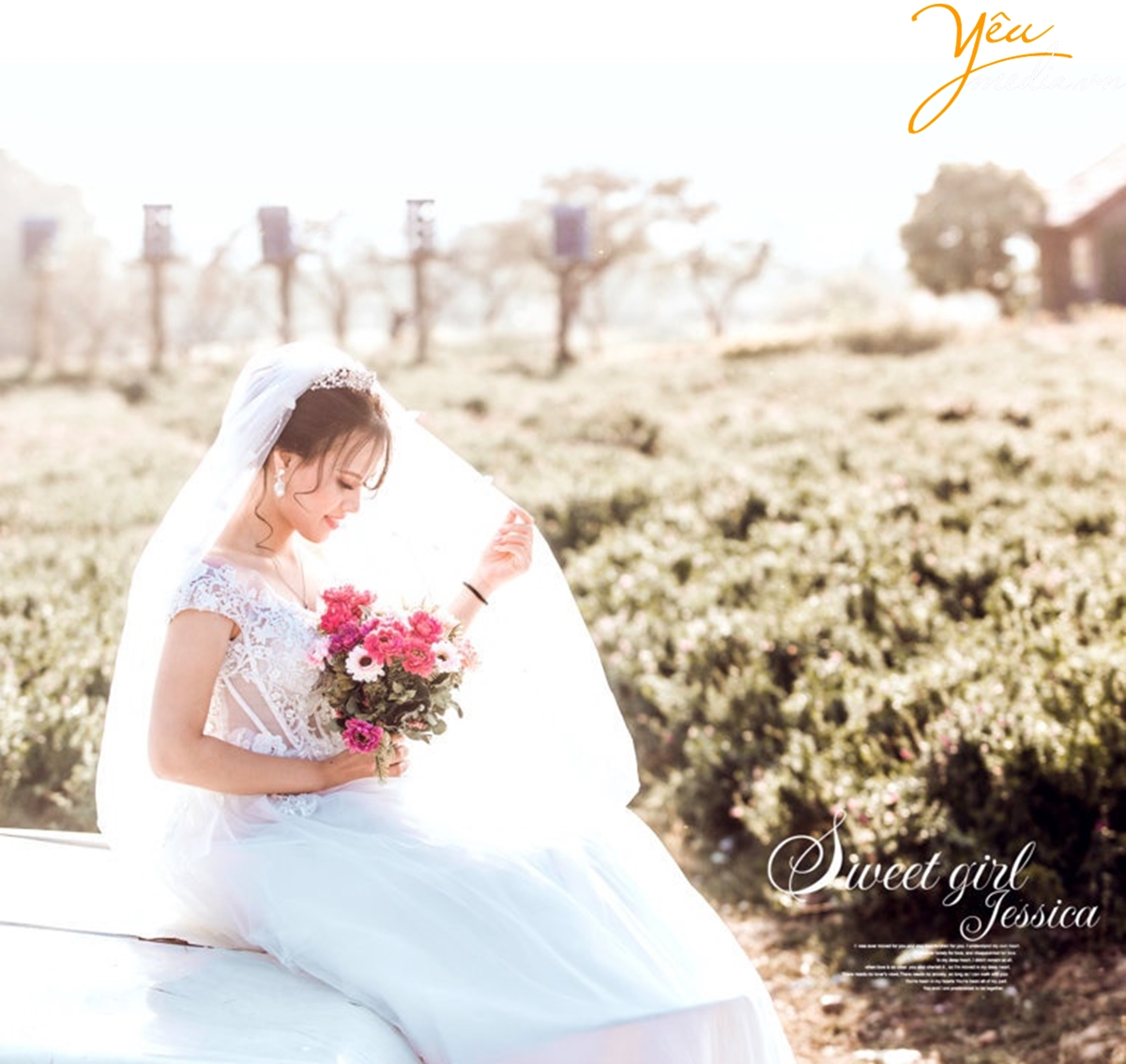 chụp ảnh cưới tại Thảo nguyên hoa Long Biên