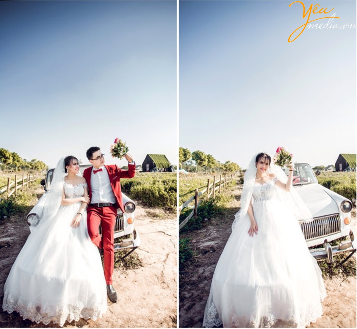 chụp ảnh cưới tại Thảo nguyên hoa Long Biên