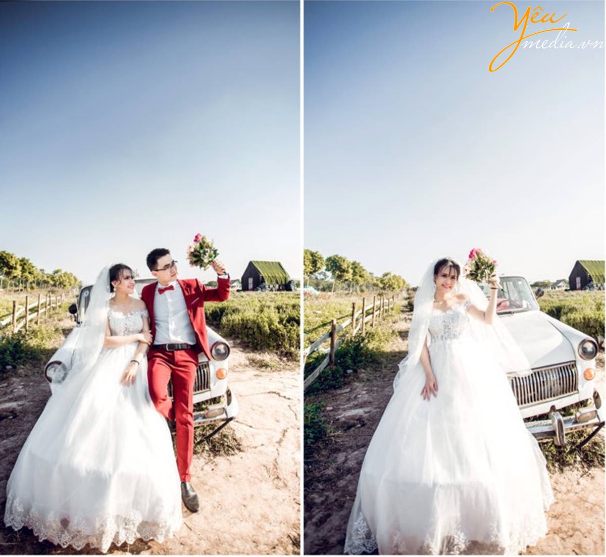 chụp ảnh cưới tại Thảo nguyên hoa Long Biên