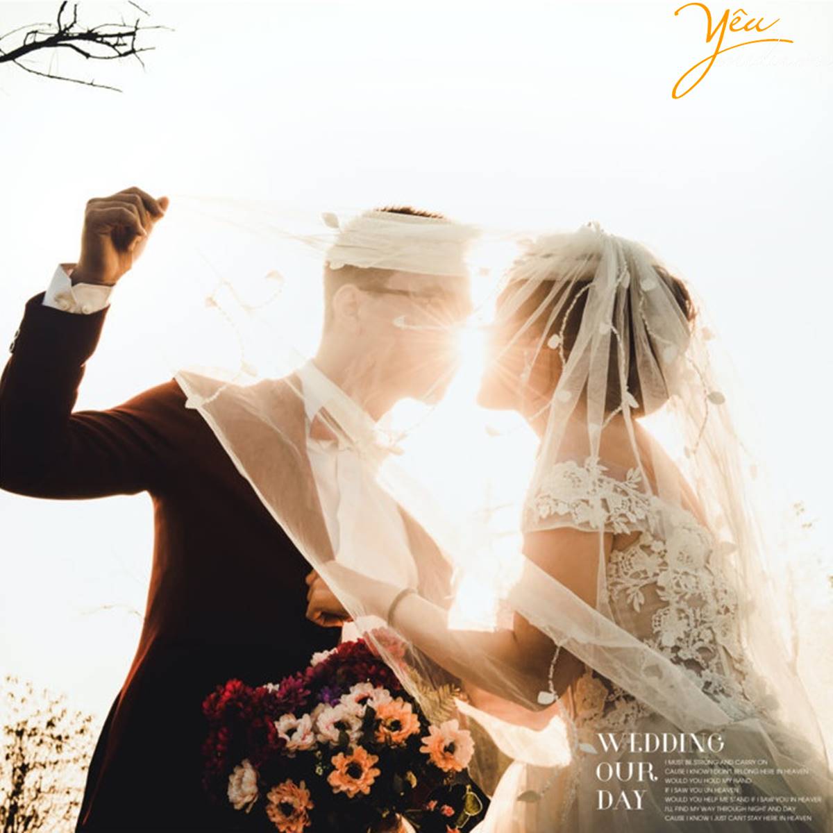 chụp ảnh cưới tại Thảo nguyên hoa Long Biên