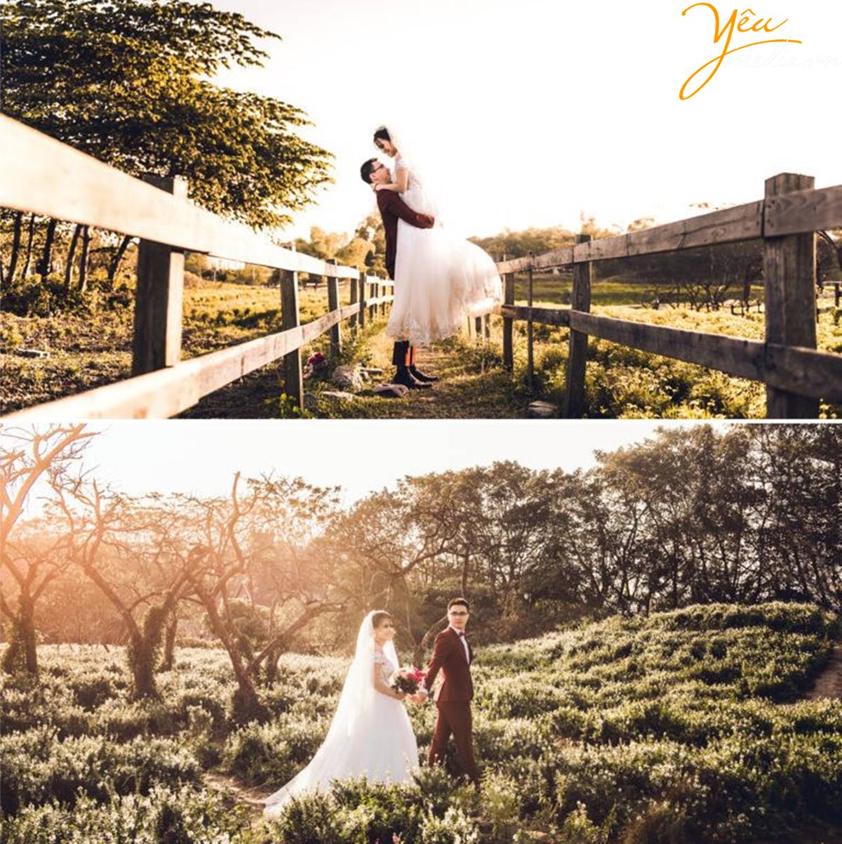 chụp ảnh cưới tại Thảo nguyên hoa Long Biên