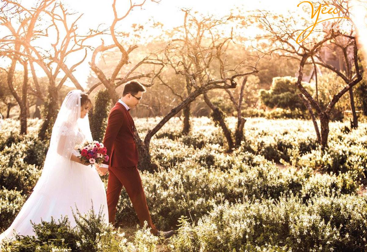 chụp ảnh cưới tại Thảo nguyên hoa Long Biên