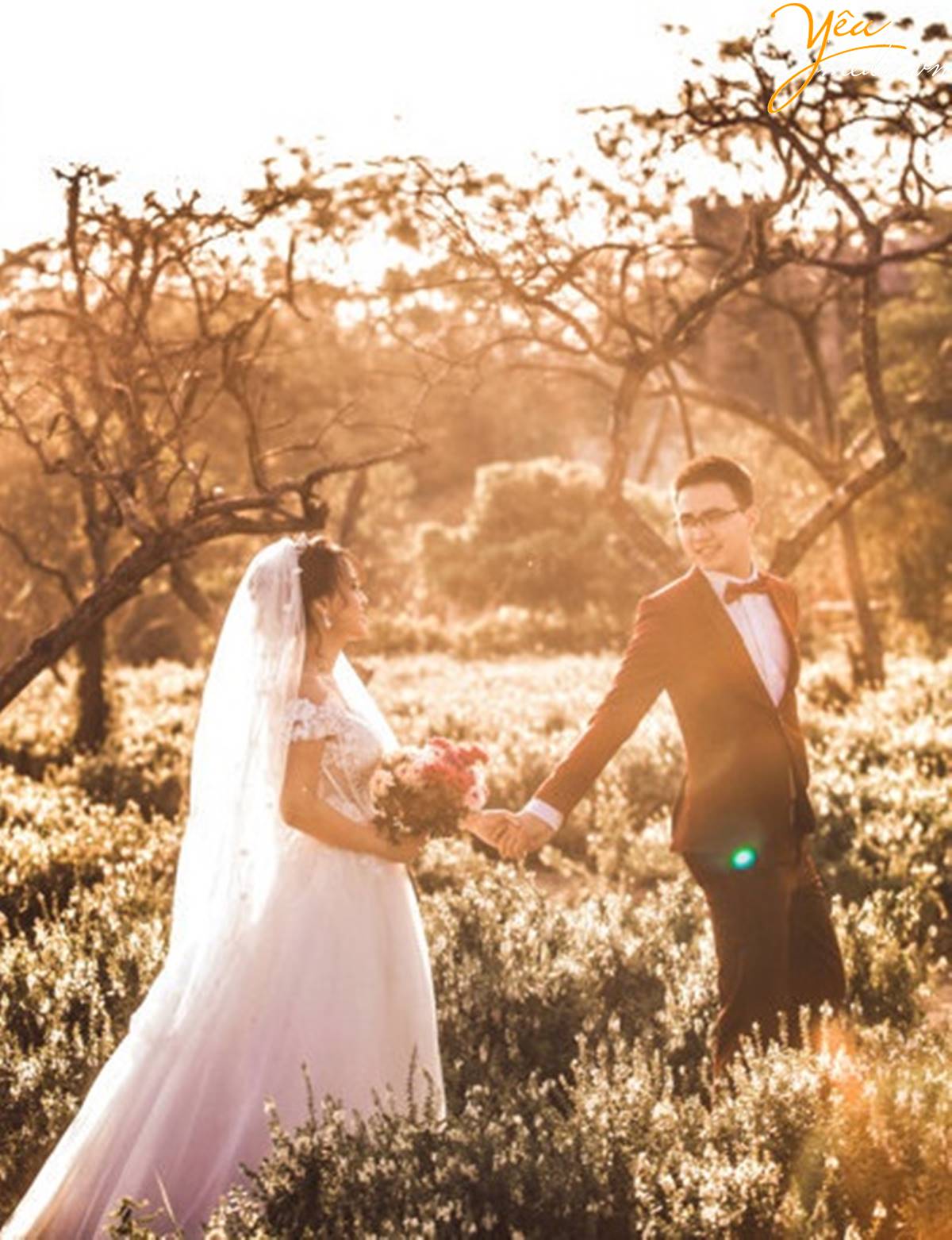 chụp ảnh cưới tại Thảo nguyên hoa Long Biên