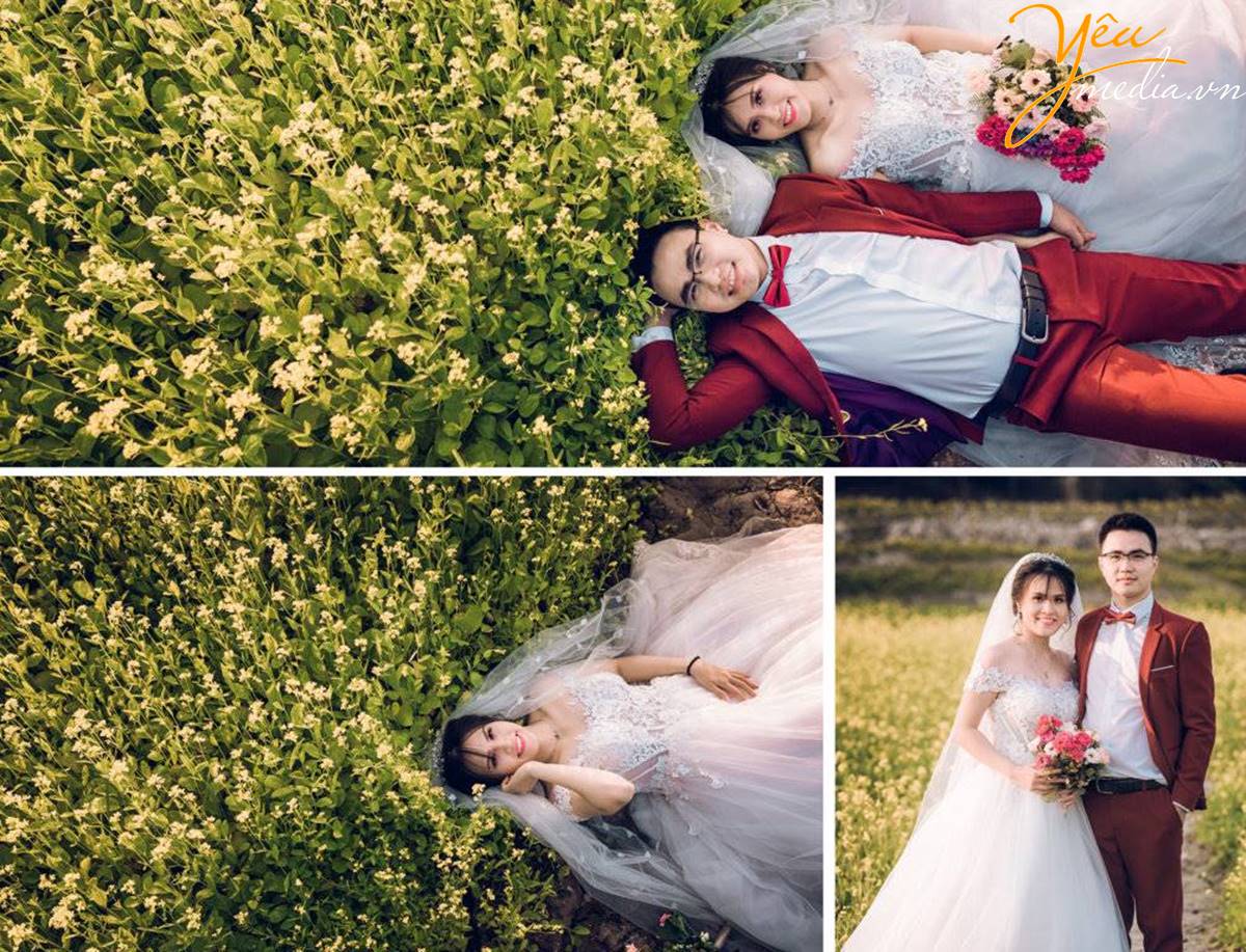 chụp ảnh cưới tại Thảo nguyên hoa Long Biên