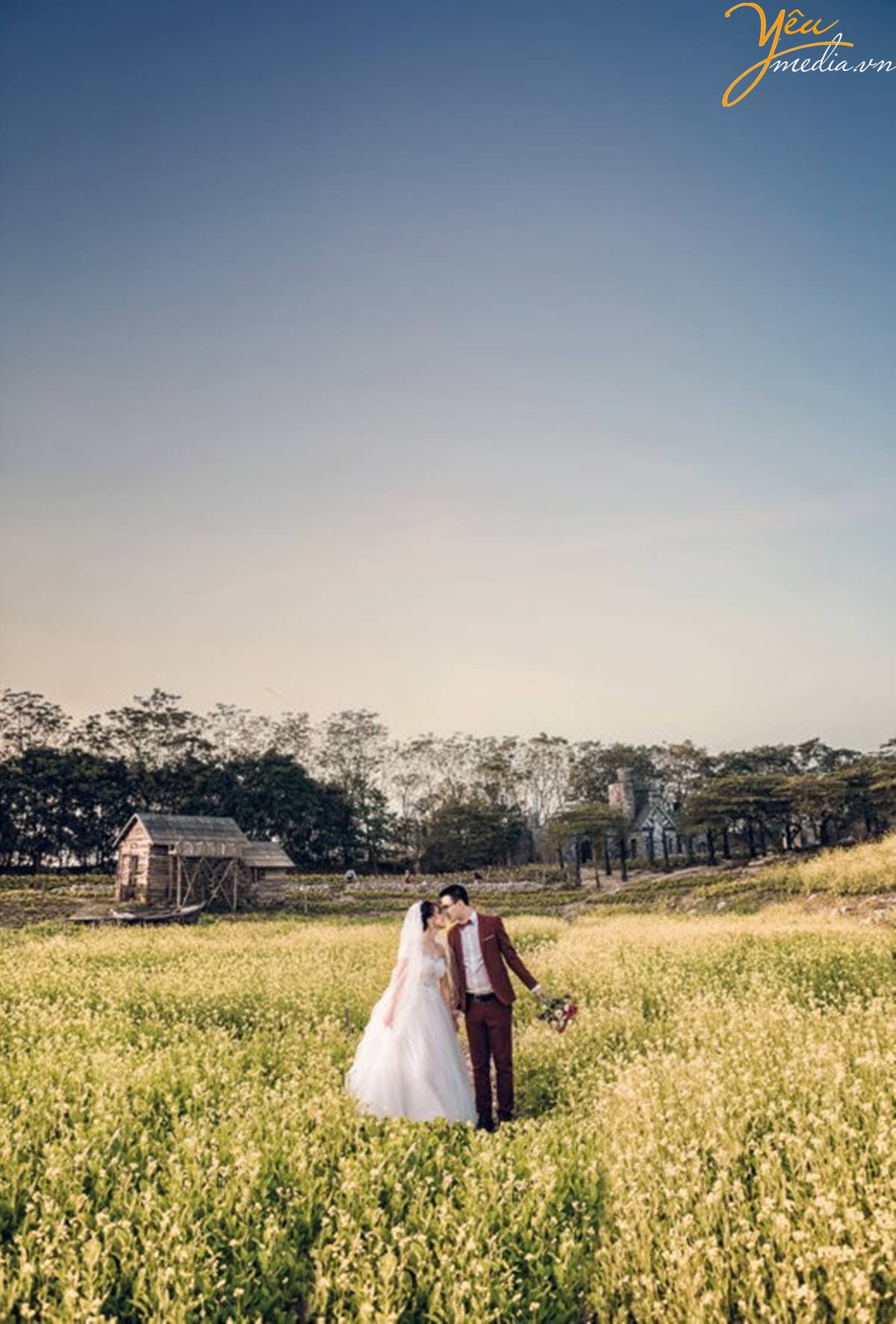 chụp ảnh cưới tại Thảo nguyên hoa Long Biên