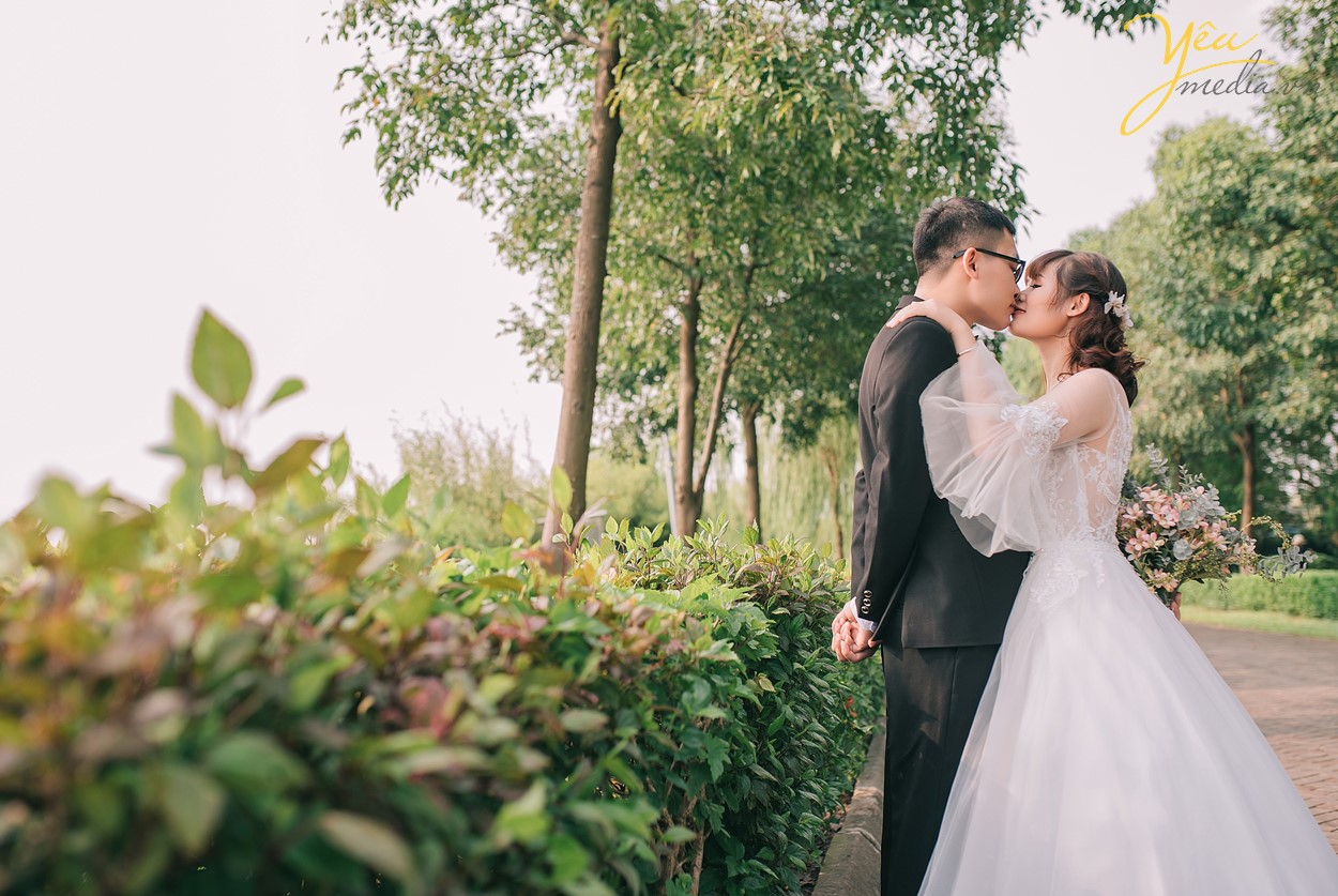 chụp ảnh cưới hôn nhau bên hàng cây xanh