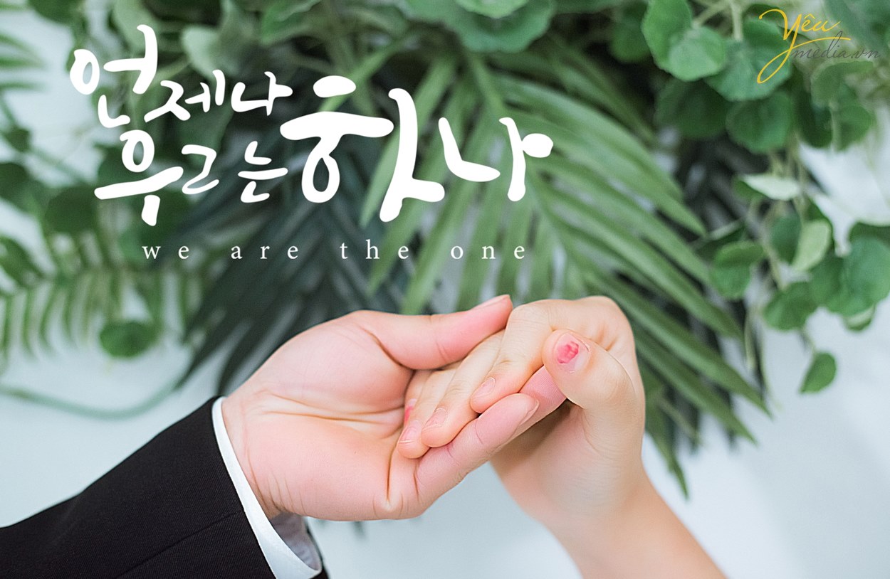 ảnh cưới album màu sắc phong cách hàn quốc