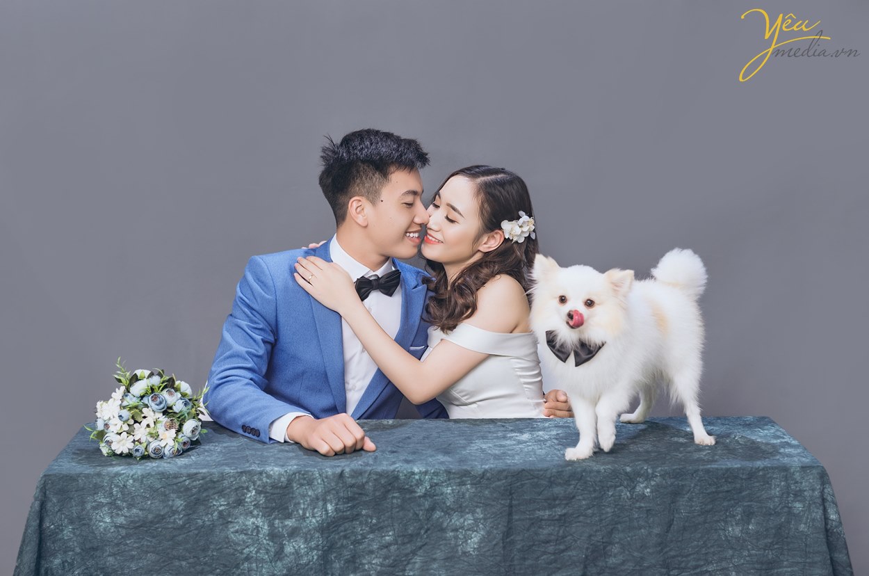 studio chuyên chụp ảnh cưới cùng thú cưng ở hà nội