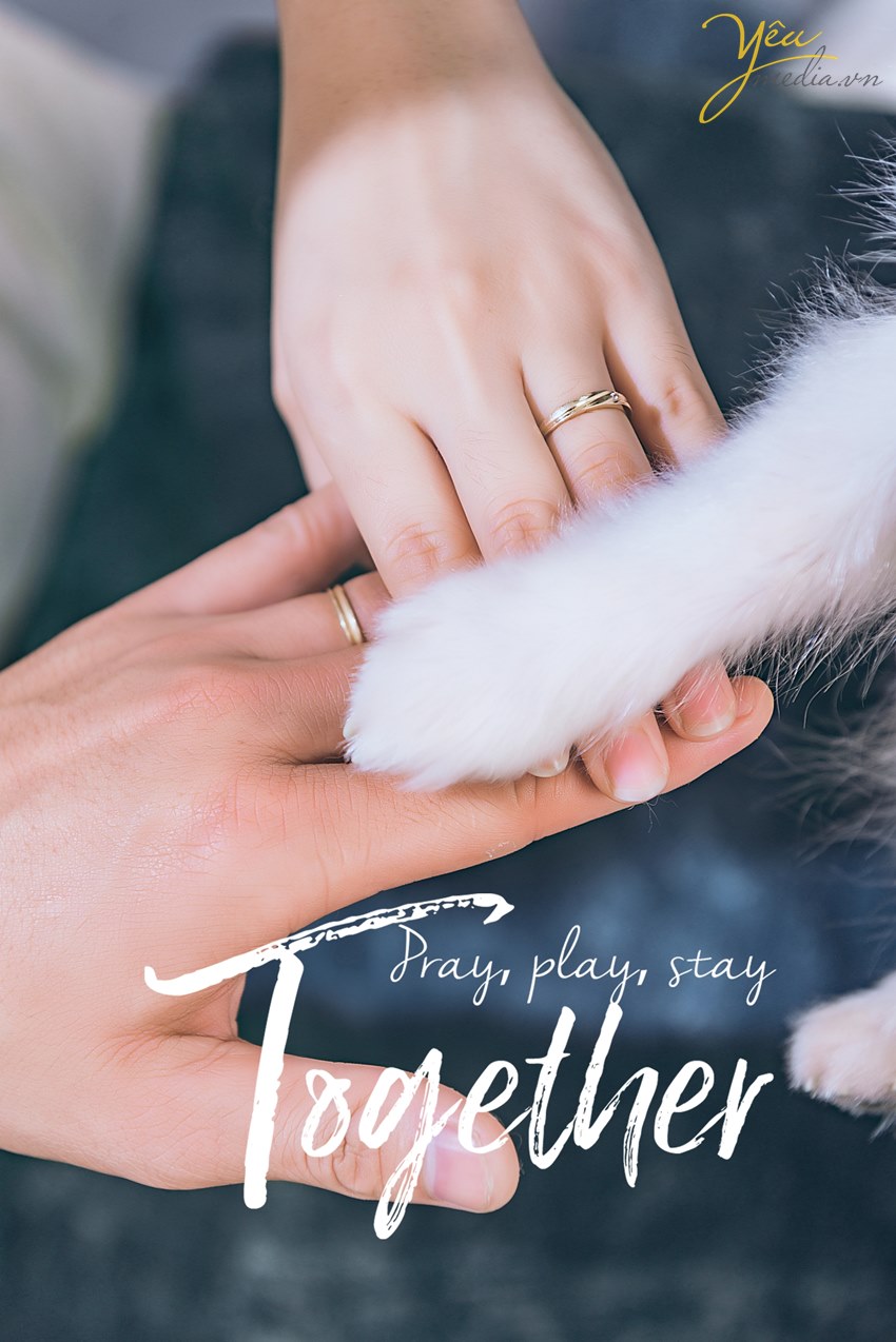 ảnh cưới đẹp chụp cùng pet