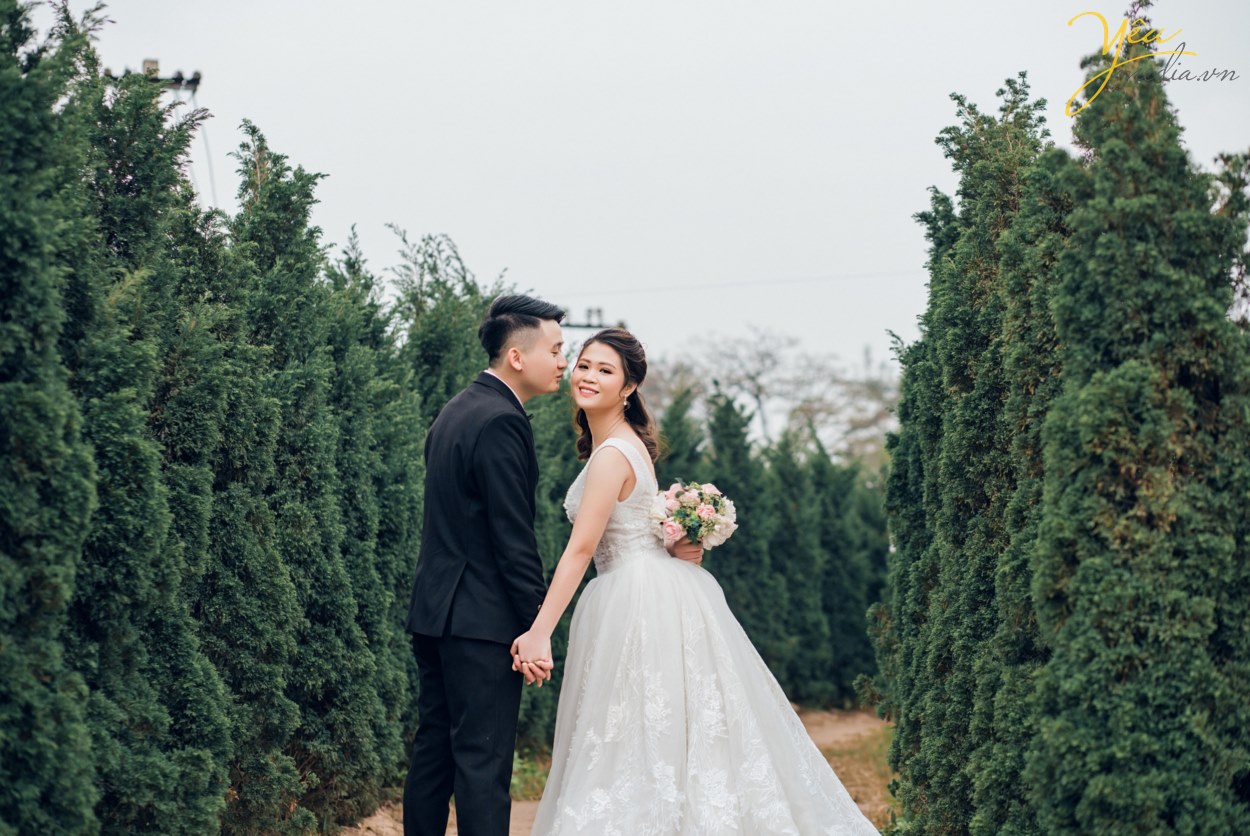 Bí quyết để chụp ảnh Tết với hoa Đào đẹp - Chụp hình cưới, ảnh gia ...