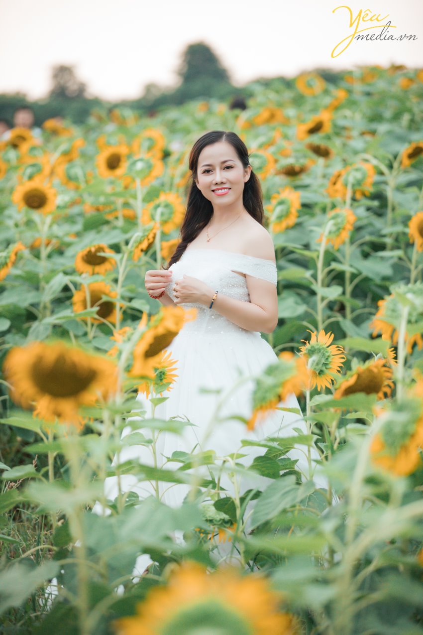 Có thể nói là lần đầu tiên, có một vườn hoa hướng dương khổng lồ tại Hà Nội mở cửa phục vụ mọi người đến ngắm cảnh, chụp ảnh. Giới trẻ Sài thành đang đua nhau "tỏa sáng" và "rực cháy" trong khung cảnh lung này mà không phải đi đâu xa. Hoa hướng dương hay còn gọi là hoa mặt trời vì khi nở chúng luôn vươn cao về phía ánh sáng, biểu trưng cho sự mạnh mẽ và niền tin vào cuộc sống. Có lẽ vì thế mà rất nhiều người ưa chuộng loài hoa này. Hoa đang đúng dịp nở rộ nên nếu muốn được tận mắt nhìn thấy cánh đồng hoa hướng dương ngay tại Hà Nội thì các bạn nên thu xếp thời gian ghé qua địa điểm này nhé. Kẻo muộn quá hoa héo hoặc tàn hết sẽ không đẹp chút nào đâu!