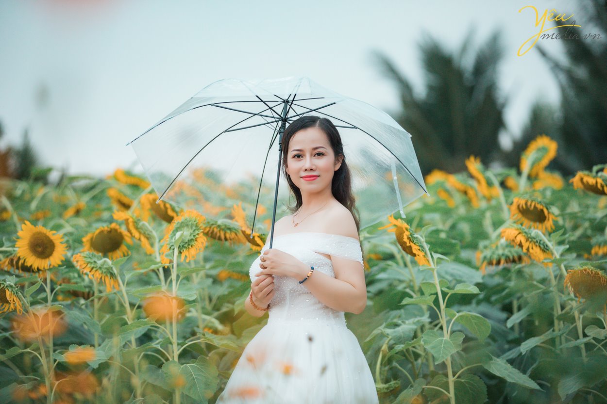 Có thể nói là lần đầu tiên, có một vườn hoa hướng dương khổng lồ tại Hà Nội mở cửa phục vụ mọi người đến ngắm cảnh, chụp ảnh. Giới trẻ Sài thành đang đua nhau "tỏa sáng" và "rực cháy" trong khung cảnh lung này mà không phải đi đâu xa. Hoa hướng dương hay còn gọi là hoa mặt trời vì khi nở chúng luôn vươn cao về phía ánh sáng, biểu trưng cho sự mạnh mẽ và niền tin vào cuộc sống. Có lẽ vì thế mà rất nhiều người ưa chuộng loài hoa này. Hoa đang đúng dịp nở rộ nên nếu muốn được tận mắt nhìn thấy cánh đồng hoa hướng dương ngay tại Hà Nội thì các bạn nên thu xếp thời gian ghé qua địa điểm này nhé. Kẻo muộn quá hoa héo hoặc tàn hết sẽ không đẹp chút nào đâu!