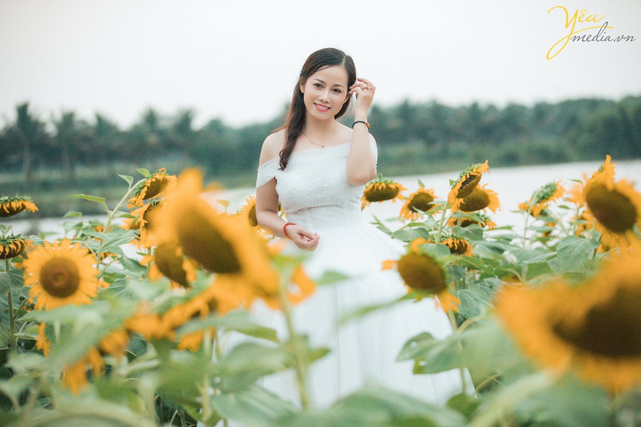 Có thể nói là lần đầu tiên, có một vườn hoa hướng dương khổng lồ tại Hà Nội mở cửa phục vụ mọi người đến ngắm cảnh, chụp ảnh. Giới trẻ Sài thành đang đua nhau "tỏa sáng" và "rực cháy" trong khung cảnh lung này mà không phải đi đâu xa. Hoa hướng dương hay còn gọi là hoa mặt trời vì khi nở chúng luôn vươn cao về phía ánh sáng, biểu trưng cho sự mạnh mẽ và niền tin vào cuộc sống. Có lẽ vì thế mà rất nhiều người ưa chuộng loài hoa này. Hoa đang đúng dịp nở rộ nên nếu muốn được tận mắt nhìn thấy cánh đồng hoa hướng dương ngay tại Hà Nội thì các bạn nên thu xếp thời gian ghé qua địa điểm này nhé. Kẻo muộn quá hoa héo hoặc tàn hết sẽ không đẹp chút nào đâu!