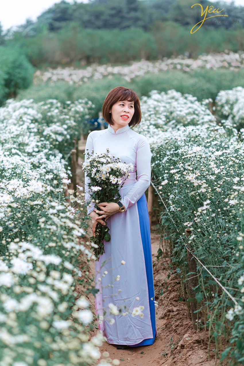 giá thuê áo dài và chụp ảnh vườn cúc họa mi hà nội