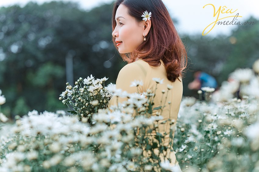 chụp ảnh cúc họa mi ở hà nội nên chọn studio nào