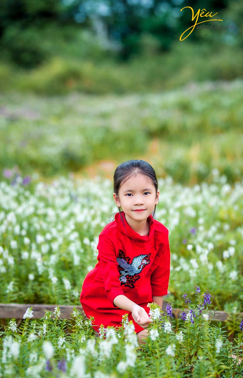 chụp ảnh gia đình đẹp