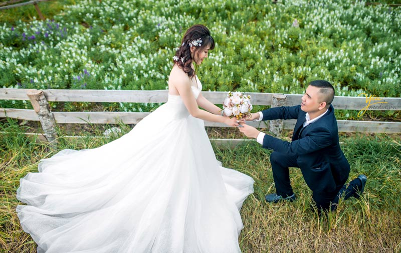 chụp ảnh gia đình đẹp