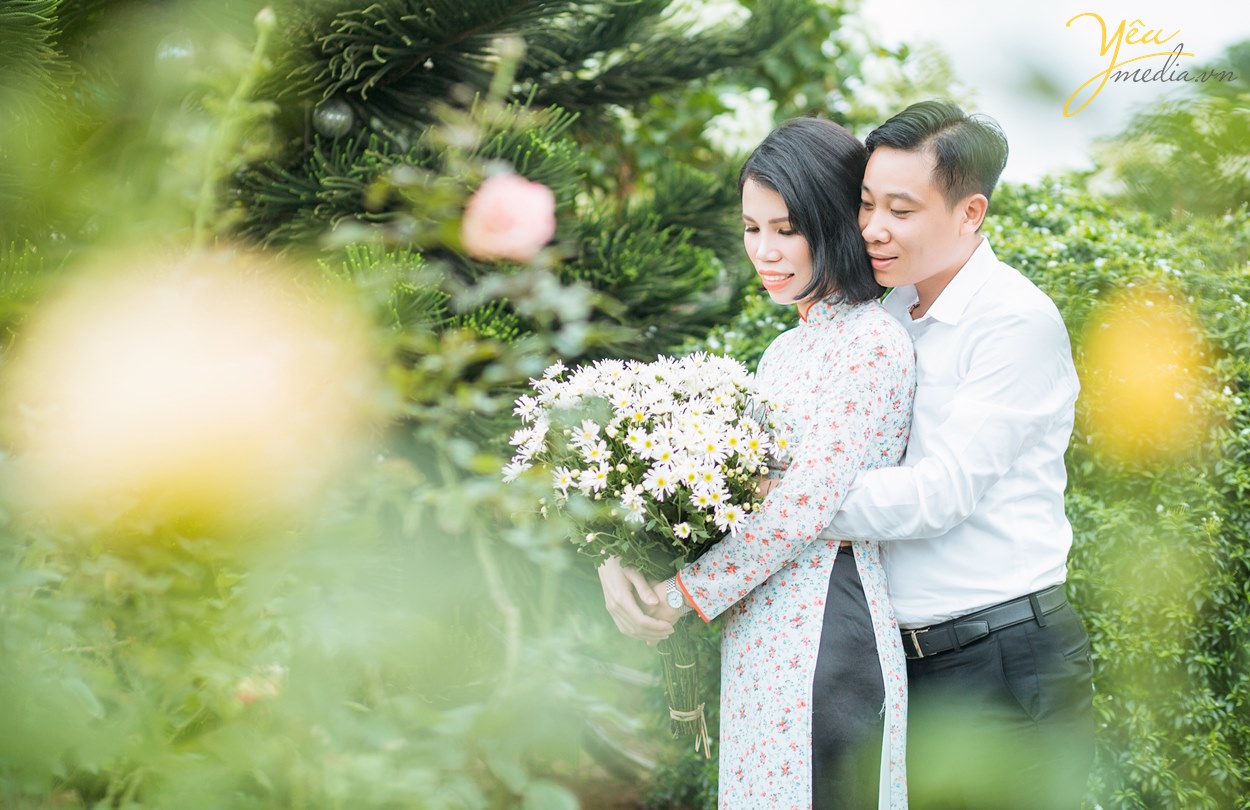 vườn hoa cúc họa mi ở đâu để chụp ảnh gia đình