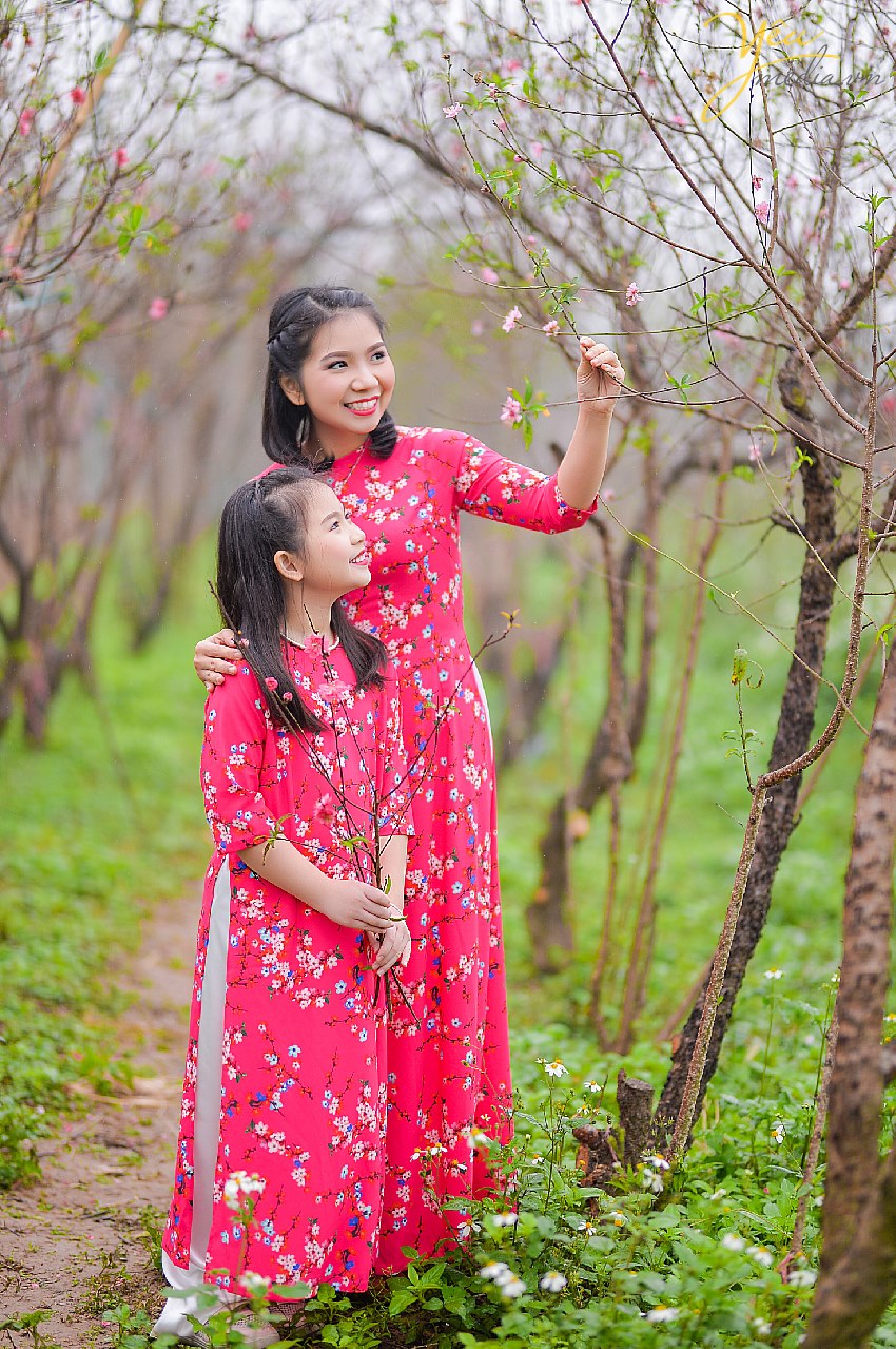 chụp ảnh với hoa đào tết nhật tân hà nội