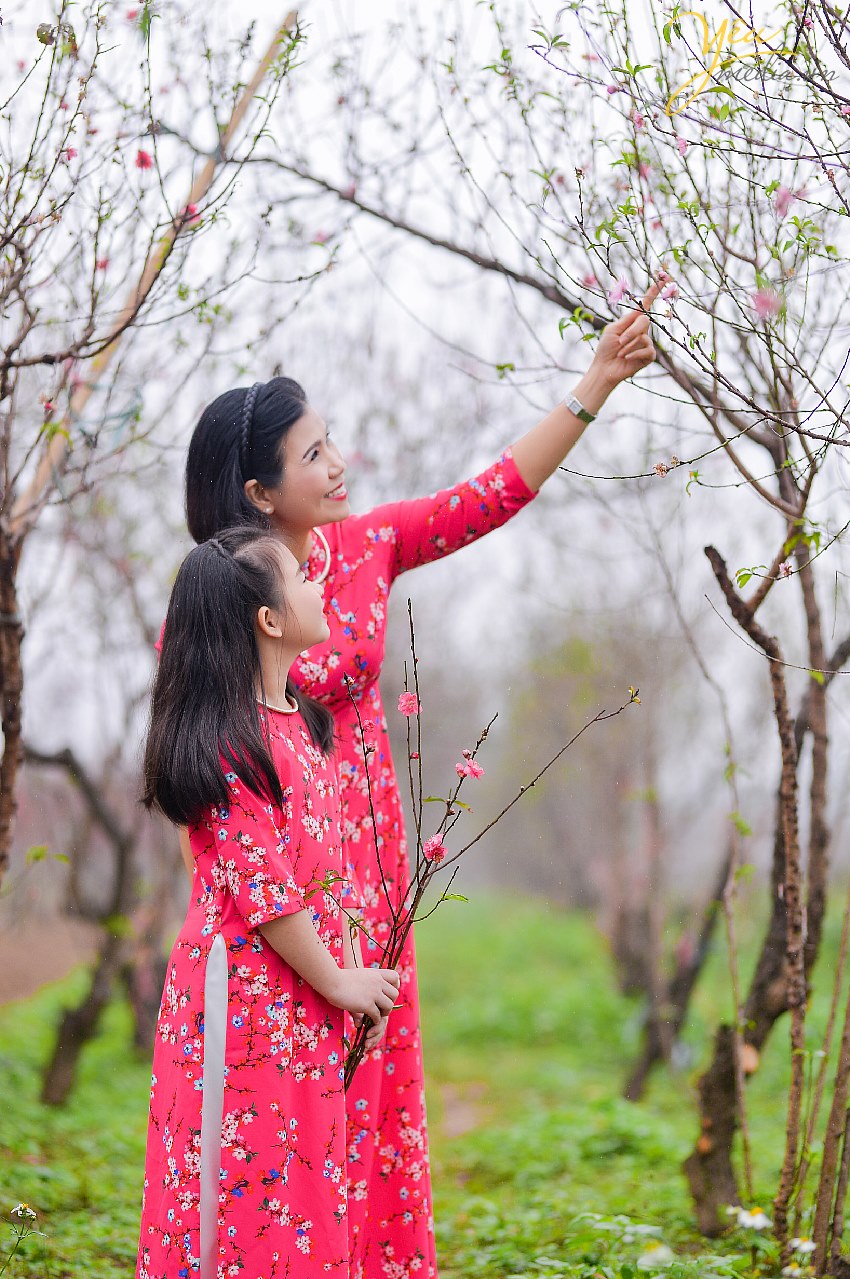 chụp ảnh hoa đào dịch vụ trọn gói ở hà nội