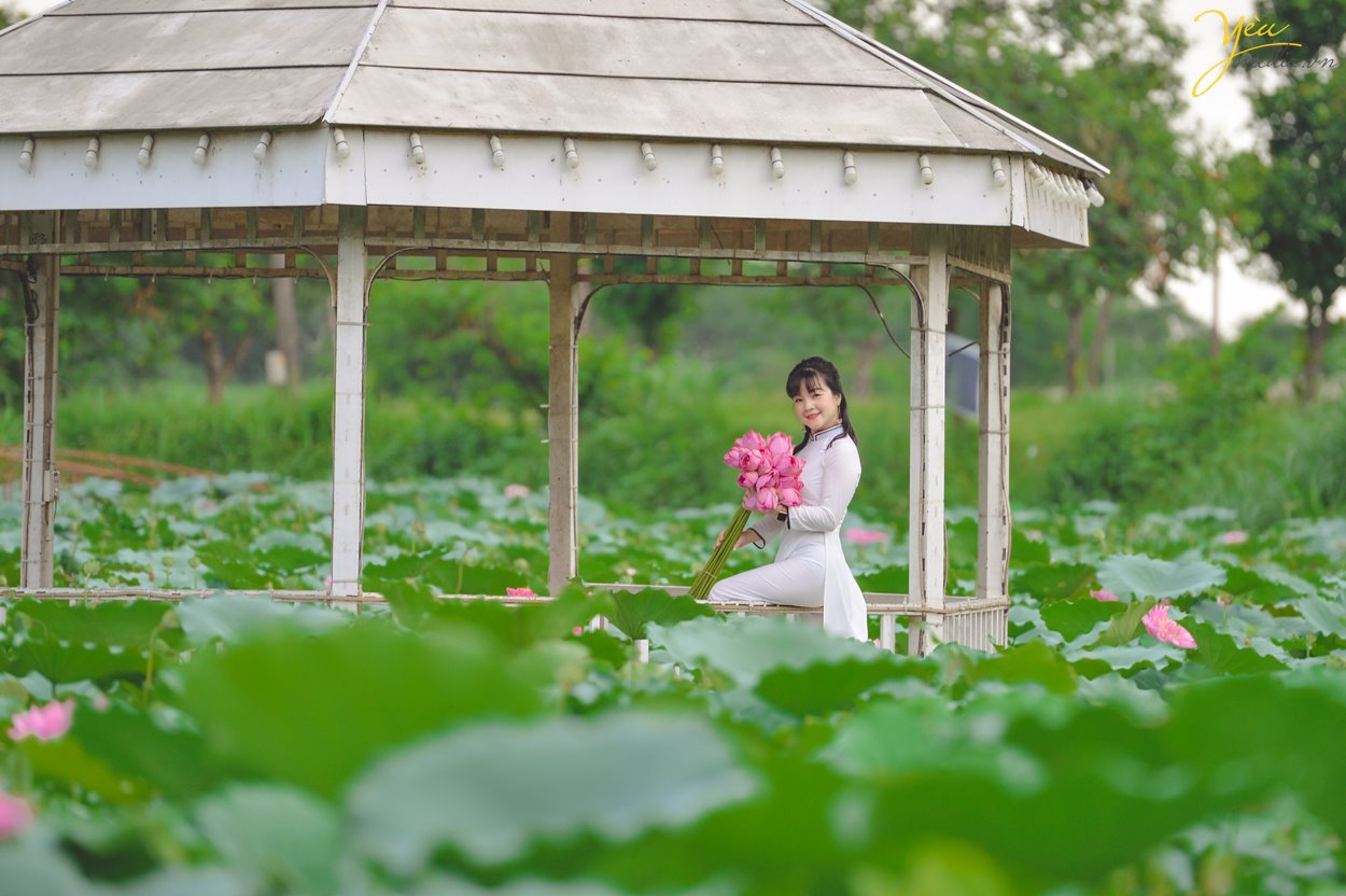 Chụp ảnh với sen có rất nhiều trang phục như áo dài, áo tứ thân, áo yếm, bà ba… Mỗi bức hình sẽ mang một vẻ đẹp riêng, đậm nét đặc trưng của những người phụ nữ Việt Nam.