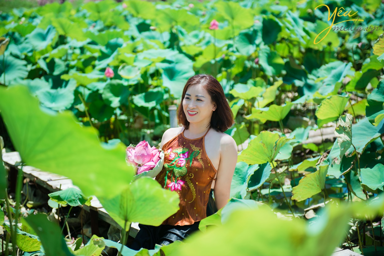 studio có dịch vụ chụp ảnh đầm hoa sen ở hà nội