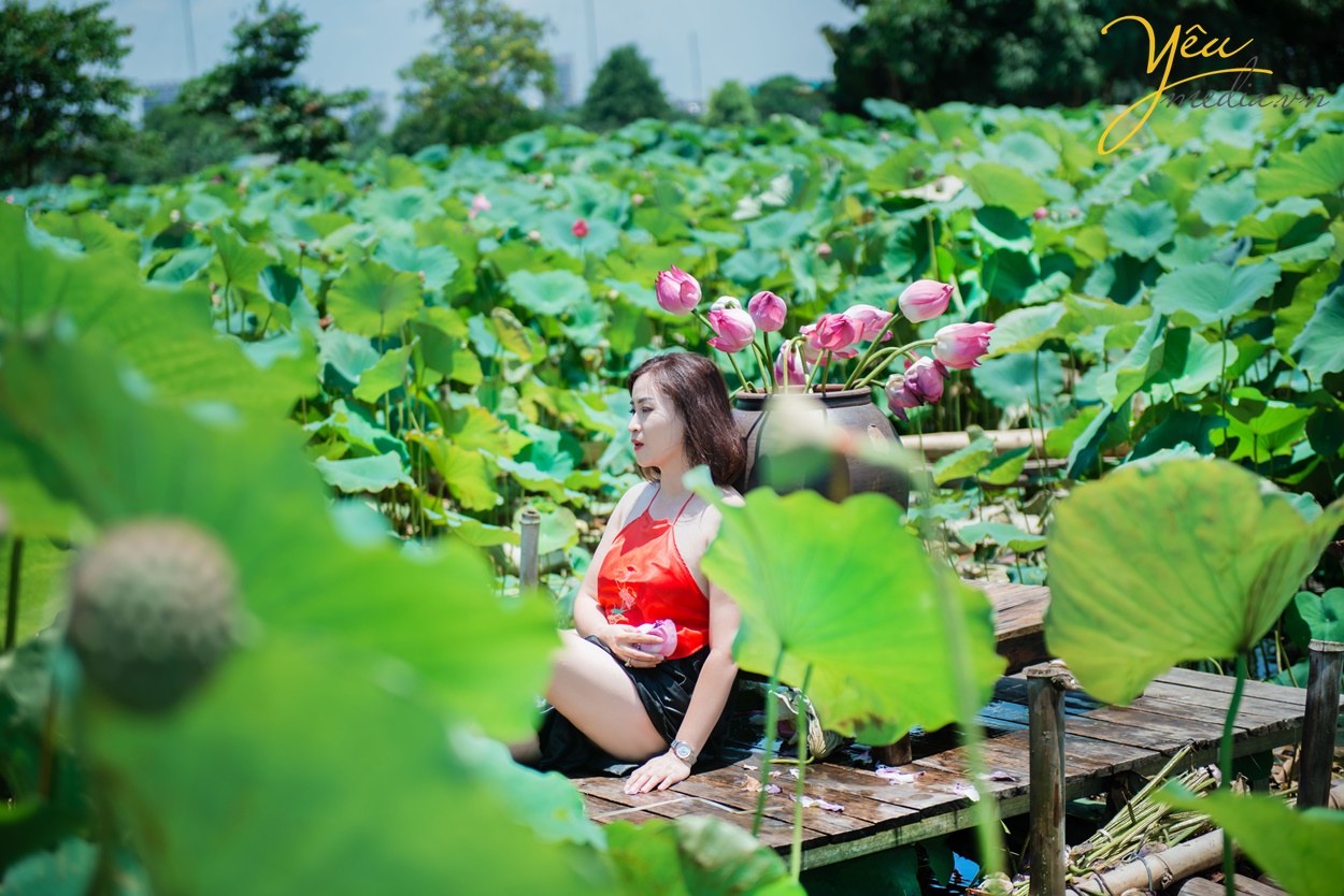 người con gái trong đầm sen chụp ảnh ở hà nội