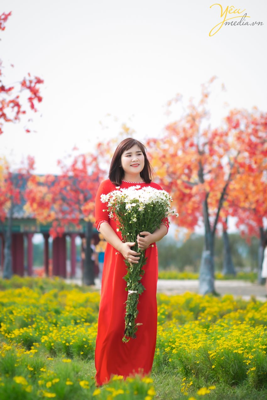 tìm địa chỉ vườn cúc họa mi chụp ảnh đẹp nhất ở hà nội