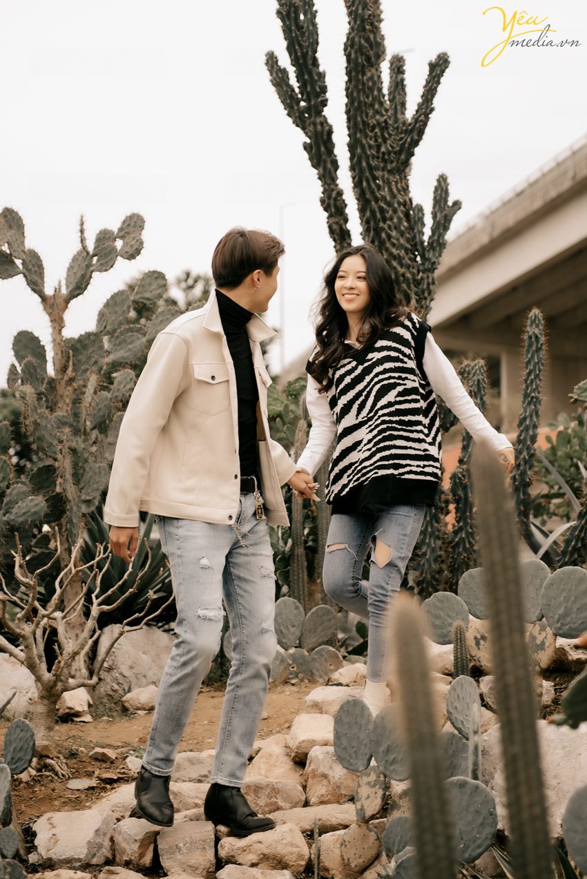 Địa điểm chụp ảnh check in mới tại góc "Đà Lạt thu nhỏ" với xương rồng ngay tại Hà Nội