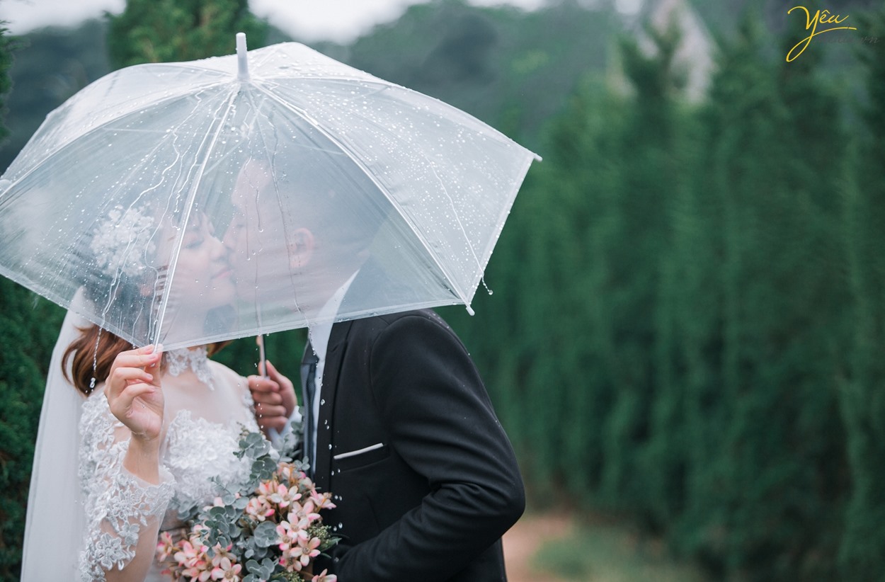 hôn nhau dưới trời mưa và ô trong suốt