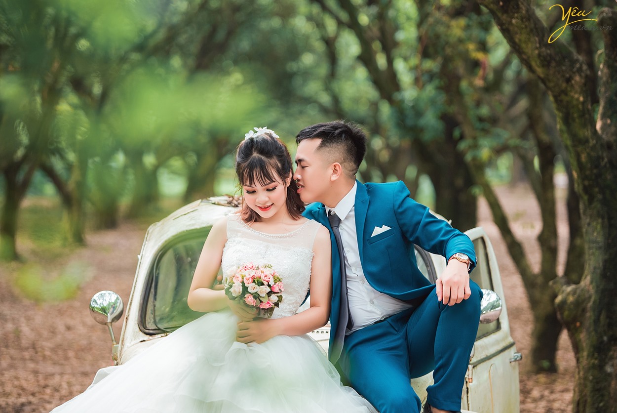 chú rể thơm má cô dâu trong khu rừng