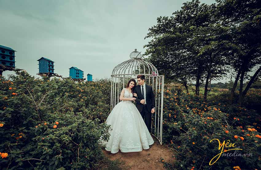 chụp ảnh cưới ngoại cảnh thảo nguyên hoa