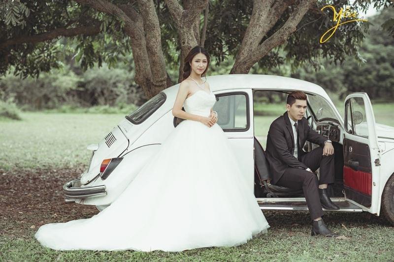 vườn nhãn Vĩnh Tuy