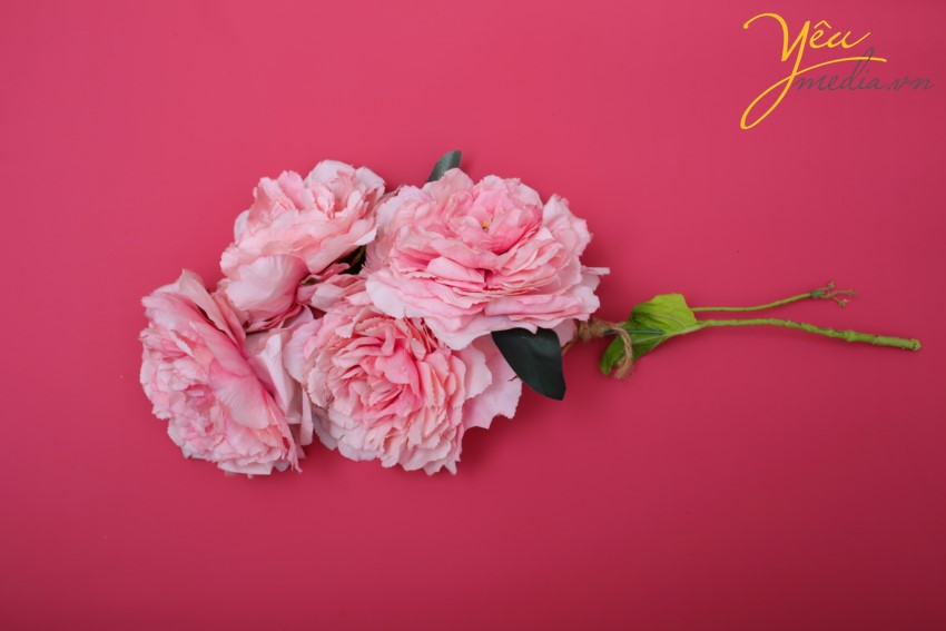 Yêu Media xin gửi tới bạn bó hoa cưới (hoa giả) cho cô dâu chụp hình trong set up pre-wedding, chụp ảnh cưới, chụp ảnh kỷ niệm ngày cưới.. của mình.   Hoa cưới Beige