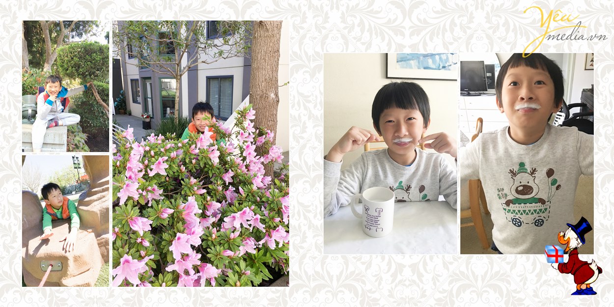 dịch vụ thiết kế và in ấn album ở hà nội