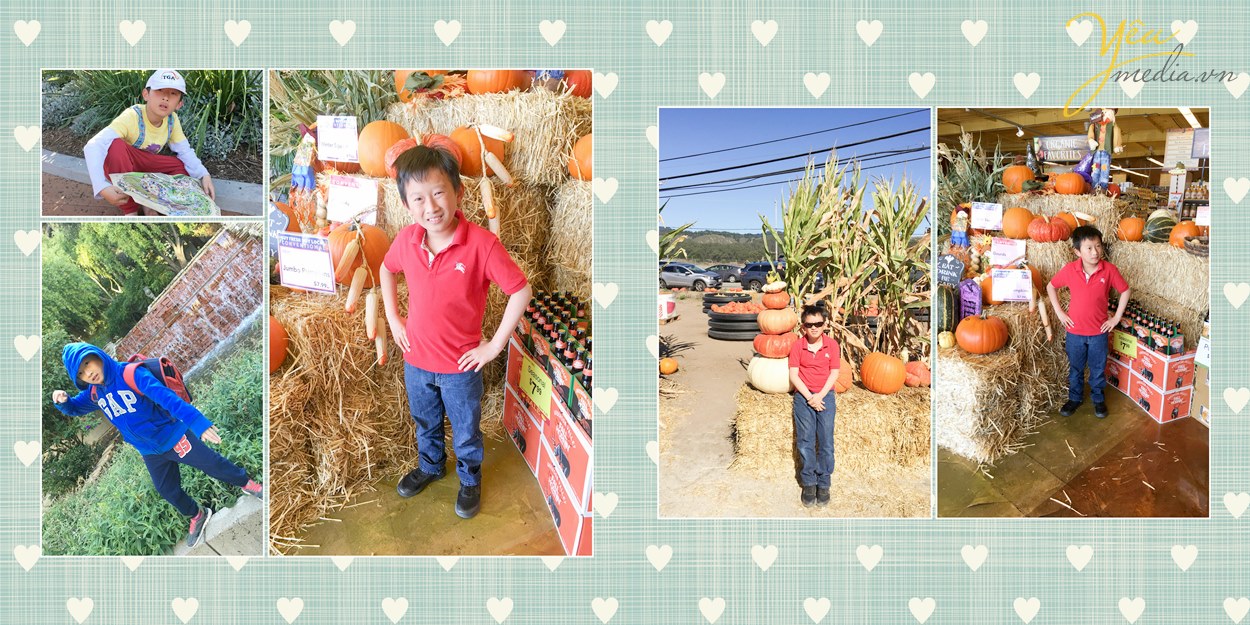 địa chỉ thiết kế và in ảnh album ở hà nội