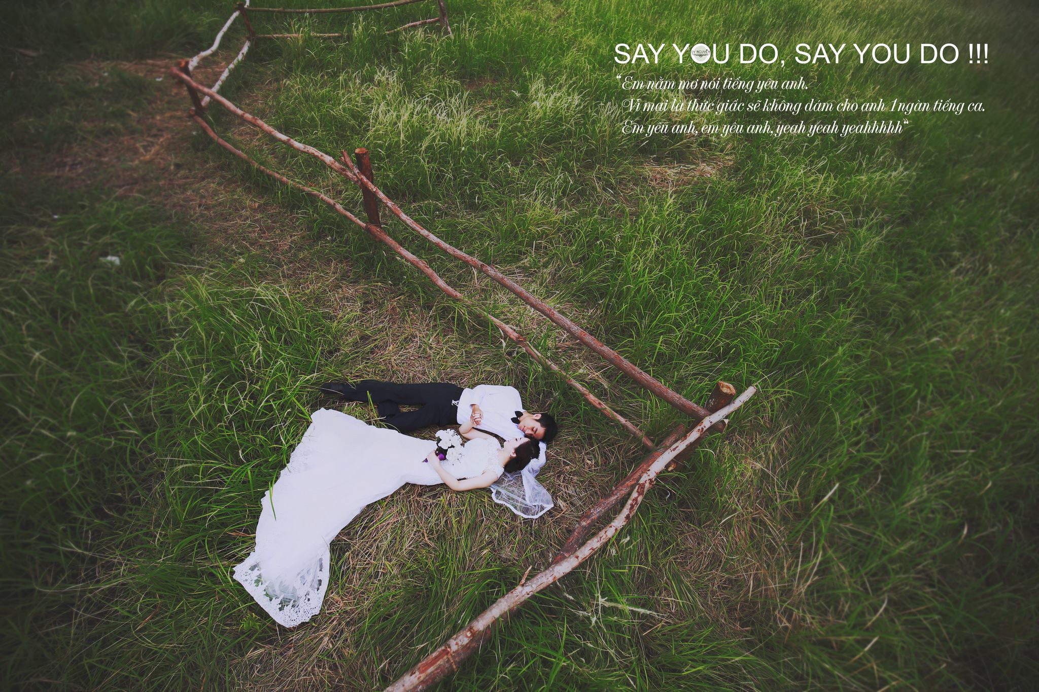 phim trường grassy hải phòng